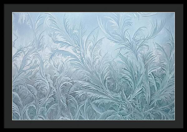 Frost Fern Patterns On Glass