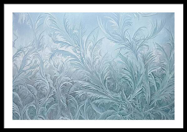 Frost Fern Patterns On Glass