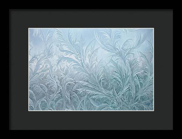 Frost Fern Patterns On Glass