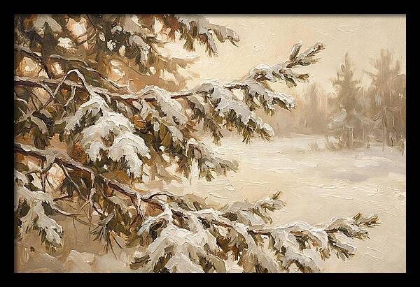 Frosted Pine Branches In Winter Light