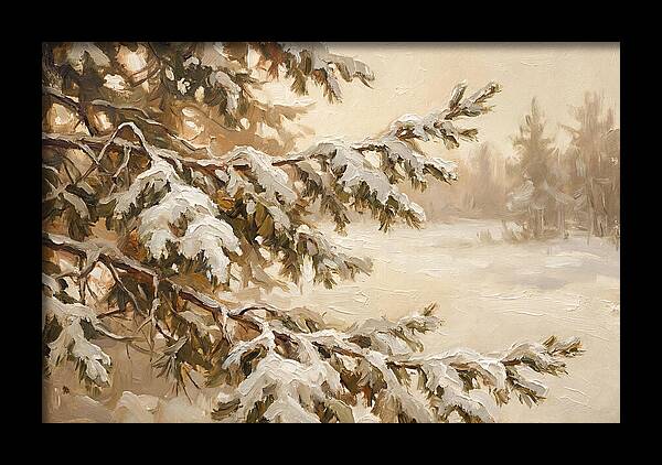 Frosted Pine Branches In Winter Light