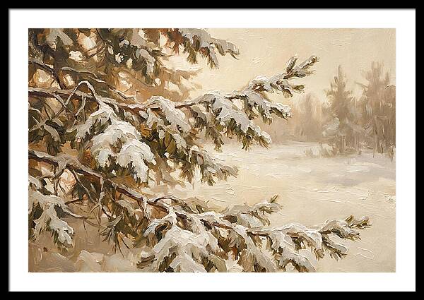 Frosted Pine Branches In Winter Light