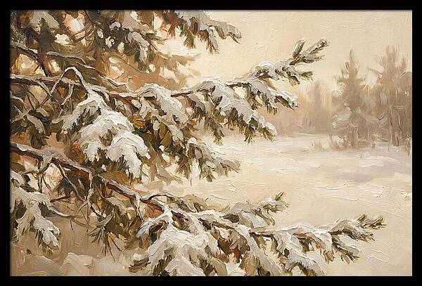 Frosted Pine Branches In Winter Light