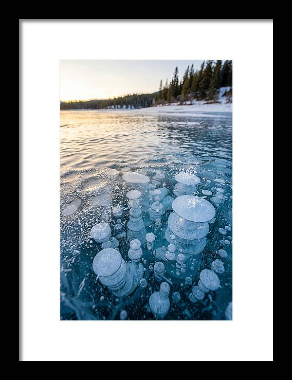 Frozen Bubbles Beneath Ice