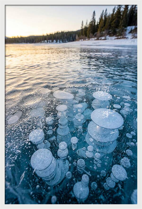 Frozen Bubbles Beneath Ice