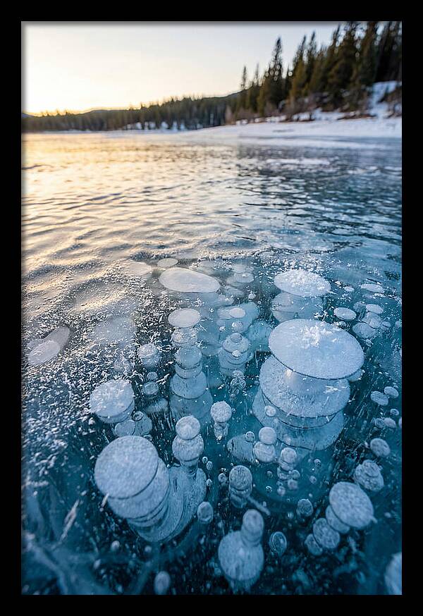 Frozen Bubbles Beneath Ice