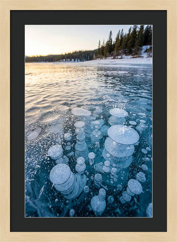 Frozen Bubbles Beneath Ice
