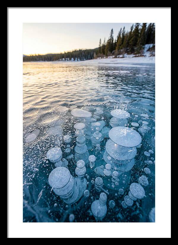 Frozen Bubbles Beneath Ice