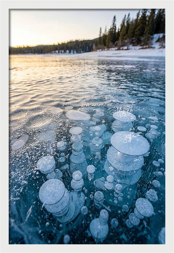 Frozen Bubbles Beneath Ice
