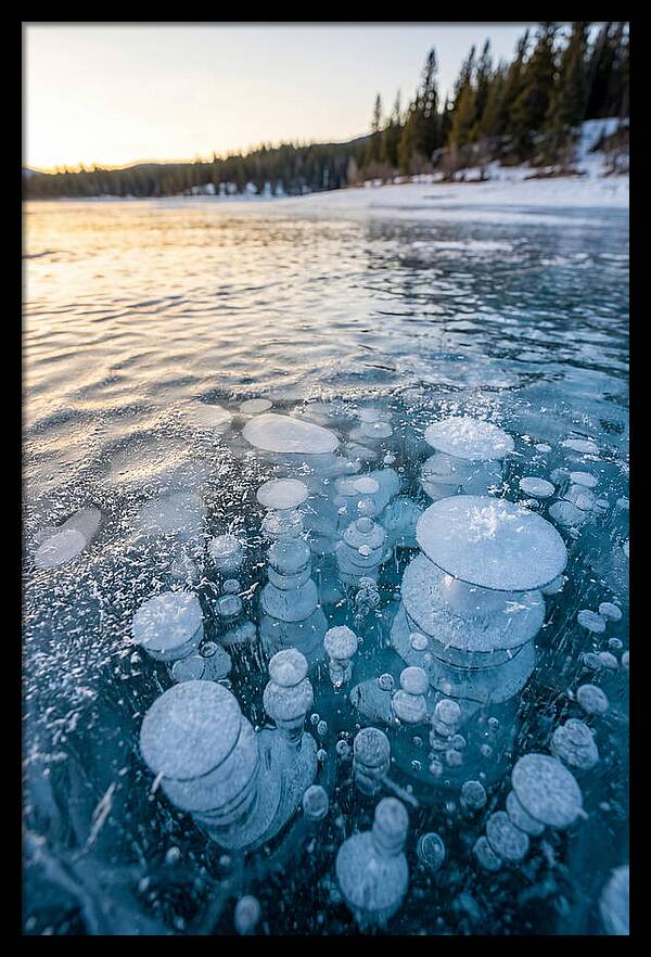 Frozen Bubbles Beneath Ice