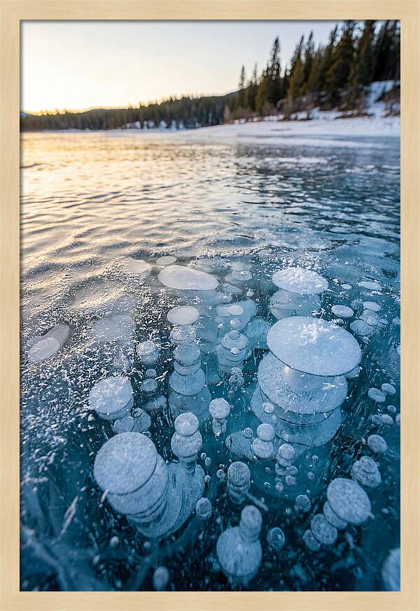 Frozen Bubbles Beneath Ice