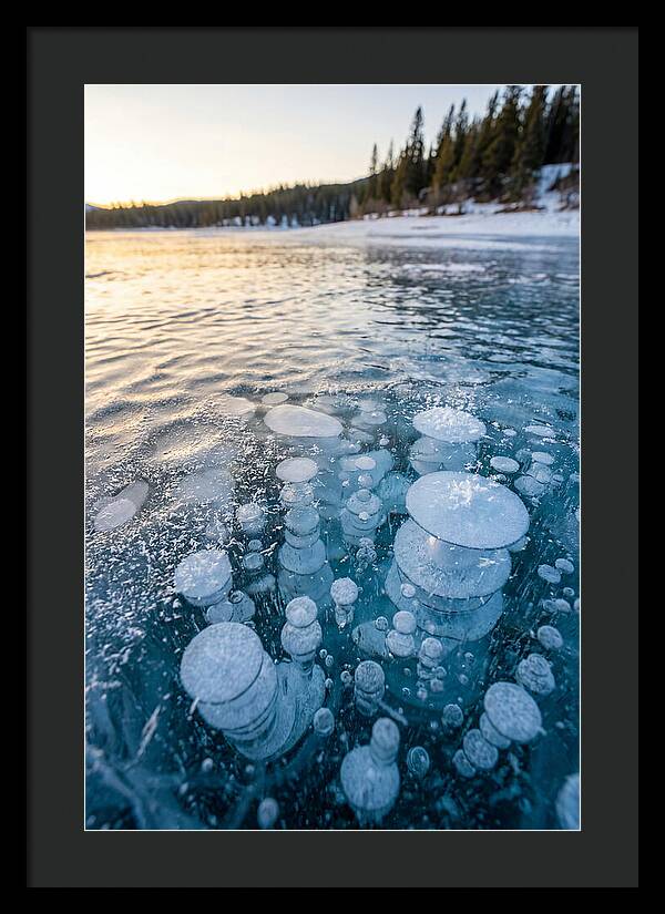 Frozen Bubbles Beneath Ice