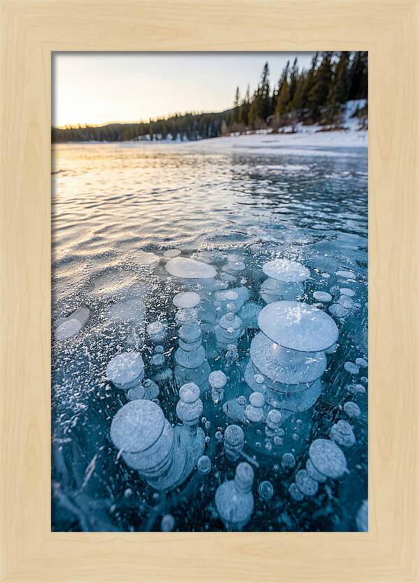 Frozen Bubbles Beneath Ice