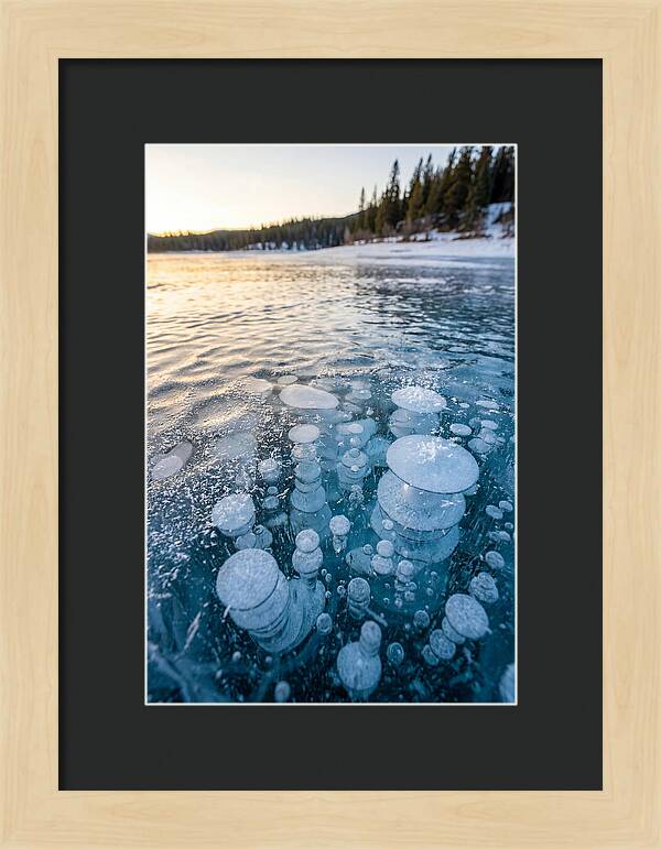 Frozen Bubbles Beneath Ice