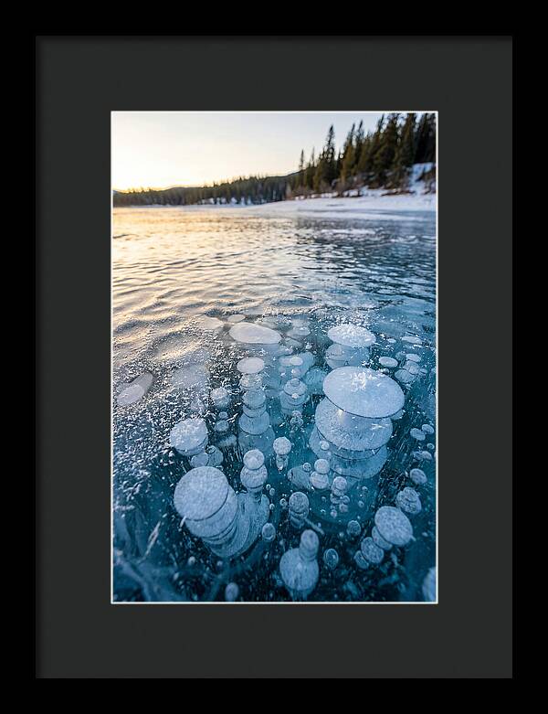 Frozen Bubbles Beneath Ice