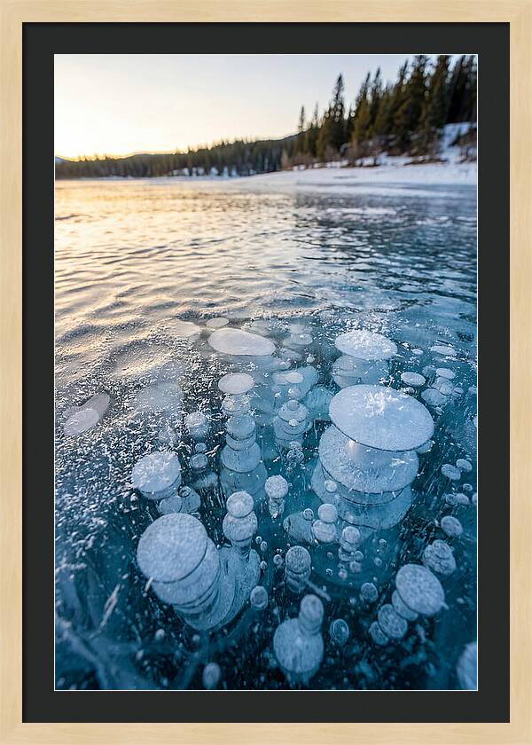 Frozen Bubbles Beneath Ice