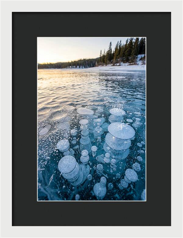 Frozen Bubbles Beneath Ice