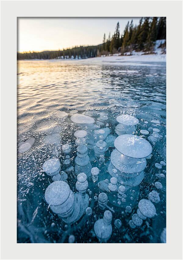 Frozen Bubbles Beneath Ice