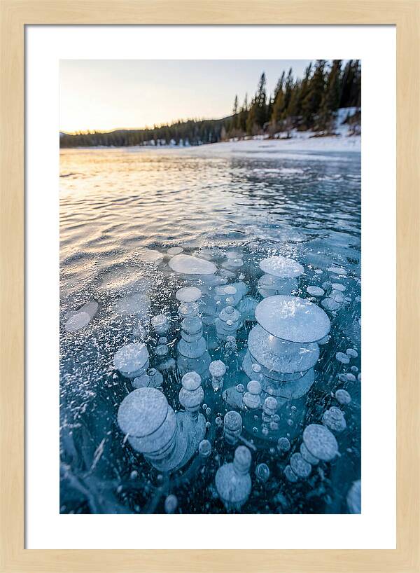 Frozen Bubbles Beneath Ice
