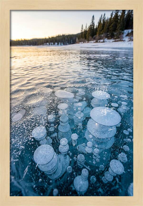 Frozen Bubbles Beneath Ice