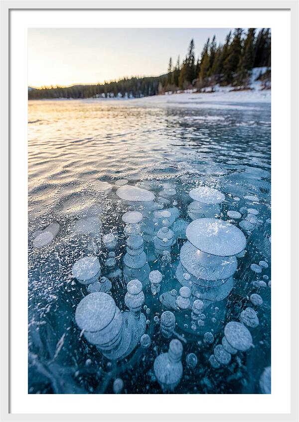 Frozen Bubbles Beneath Ice