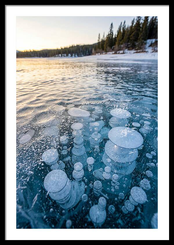 Frozen Bubbles Beneath Ice