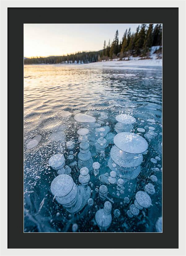 Frozen Bubbles Beneath Ice