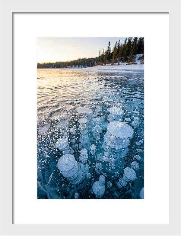 Frozen Bubbles Beneath Ice