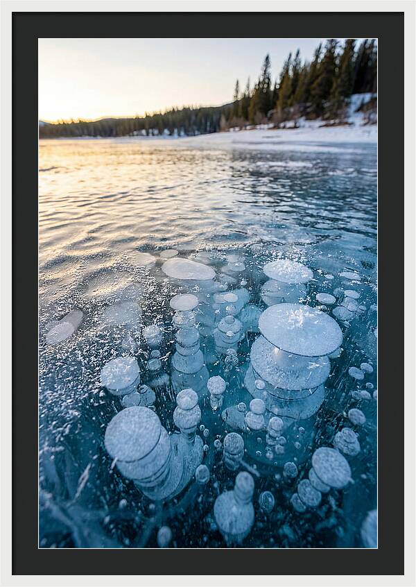 Frozen Bubbles Beneath Ice