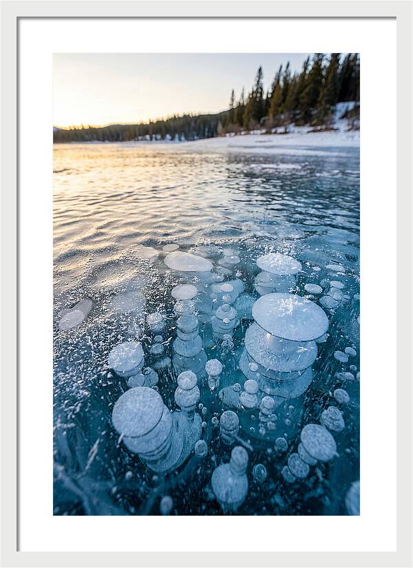 Frozen Bubbles Beneath Ice