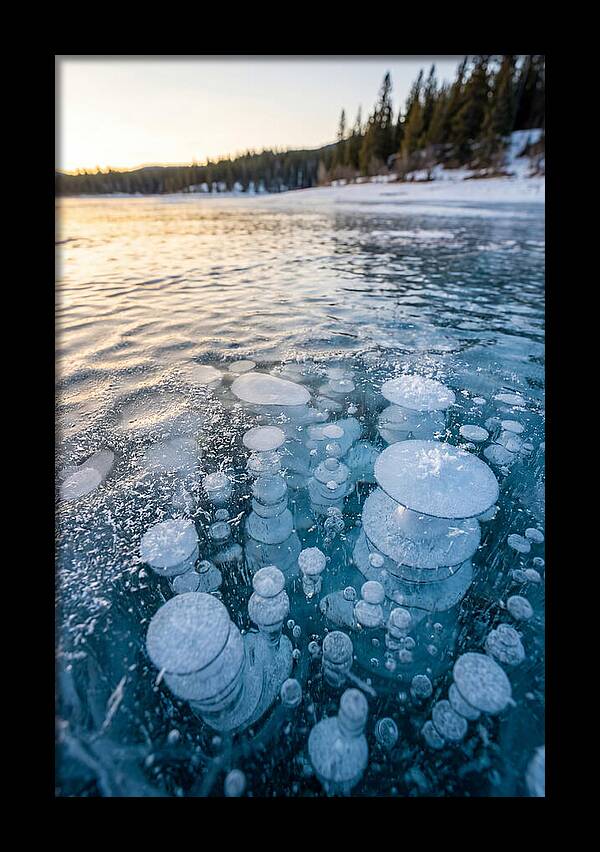 Frozen Bubbles Beneath Ice