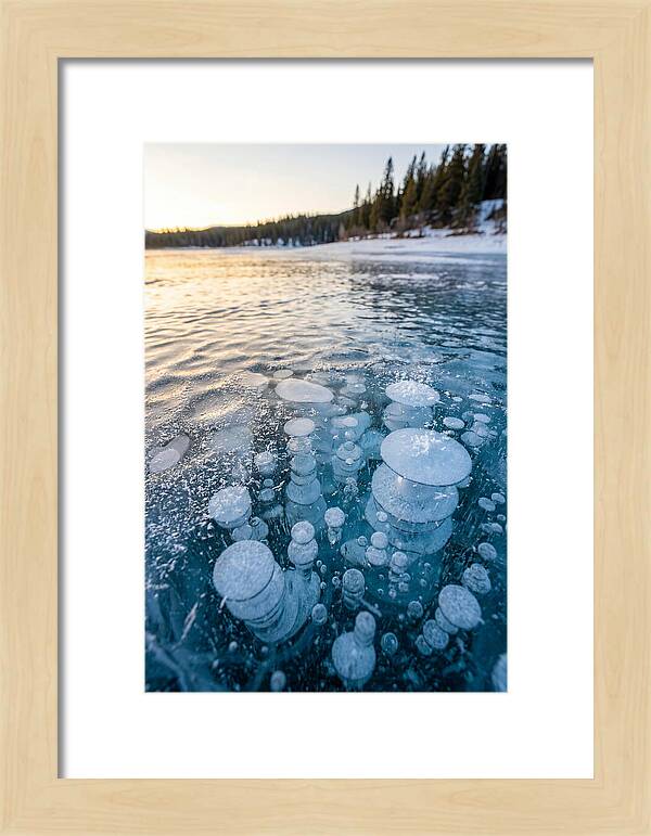Frozen Bubbles Beneath Ice
