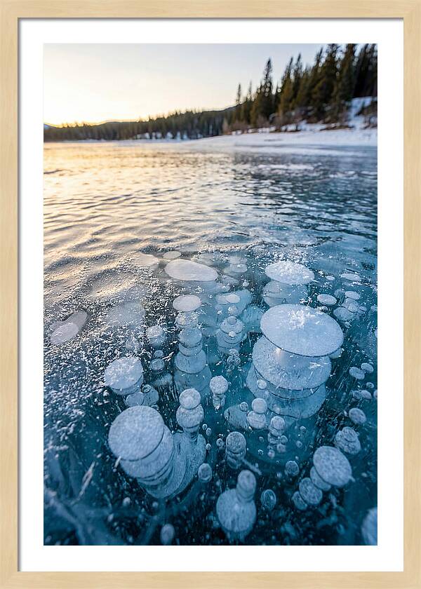 Frozen Bubbles Beneath Ice