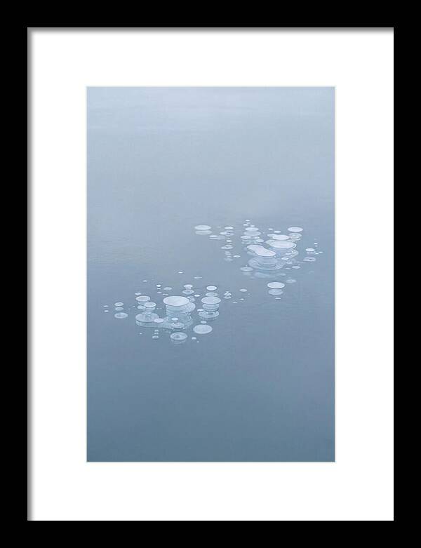 Frozen Bubbles Beneath Ice