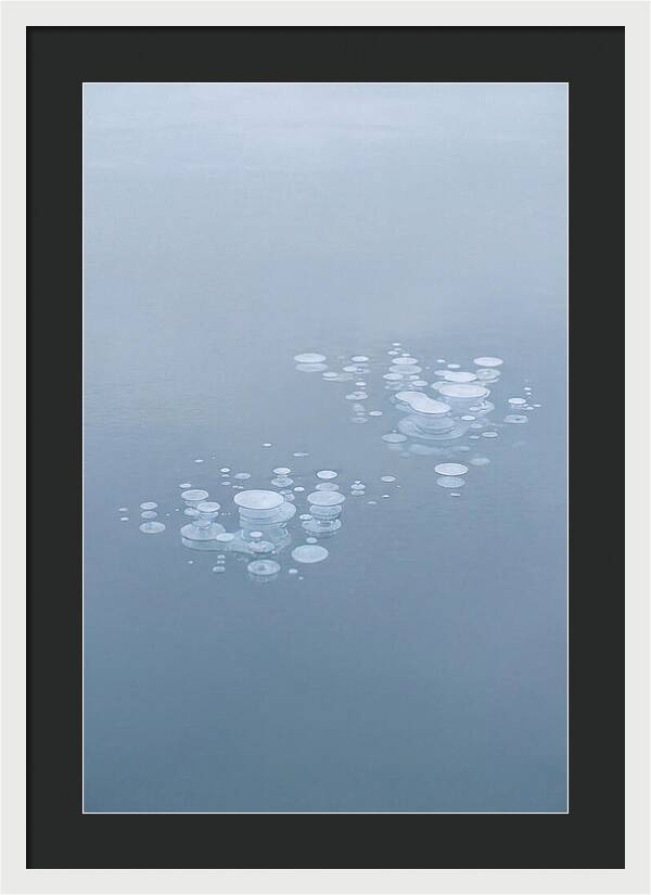 Frozen Bubbles Beneath Ice