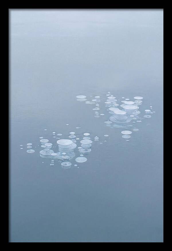 Frozen Bubbles Beneath Ice