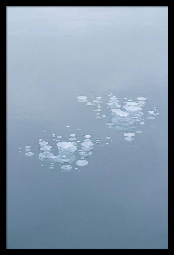 Frozen Bubbles Beneath Ice