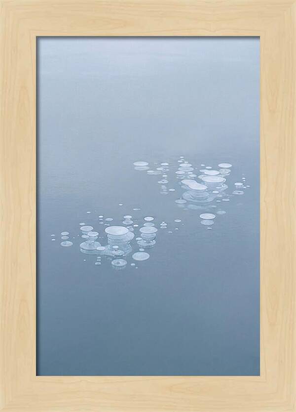 Frozen Bubbles Beneath Ice