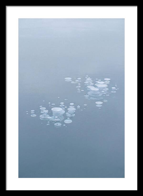 Frozen Bubbles Beneath Ice