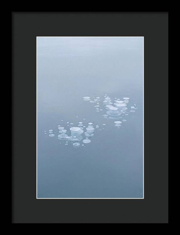 Frozen Bubbles Beneath Ice