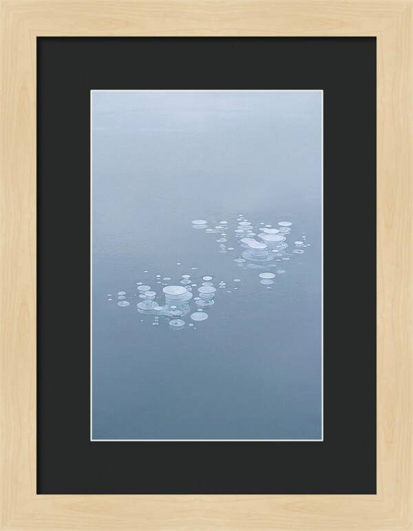 Frozen Bubbles Beneath Ice