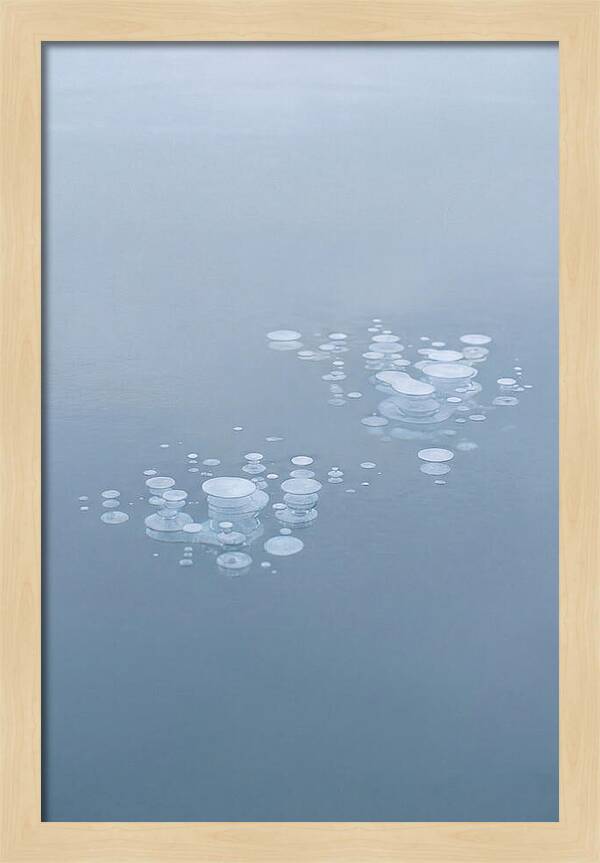 Frozen Bubbles Beneath Ice