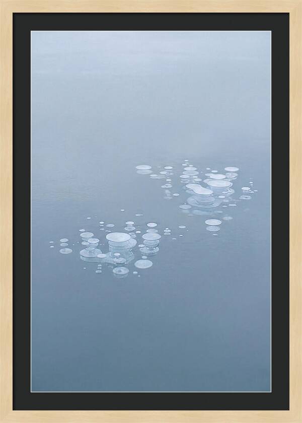 Frozen Bubbles Beneath Ice