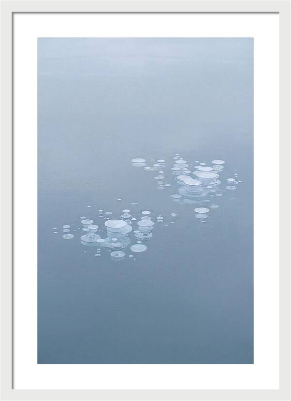 Frozen Bubbles Beneath Ice