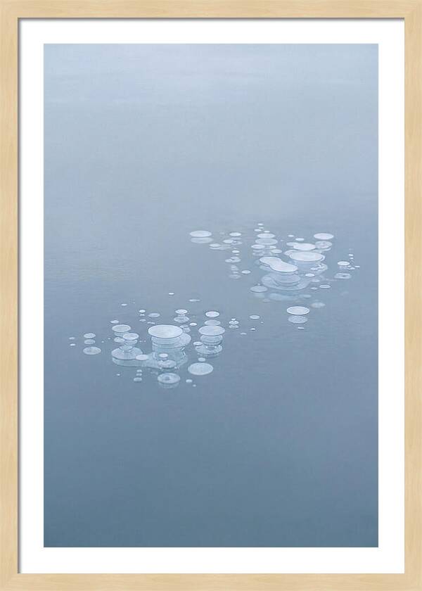 Frozen Bubbles Beneath Ice