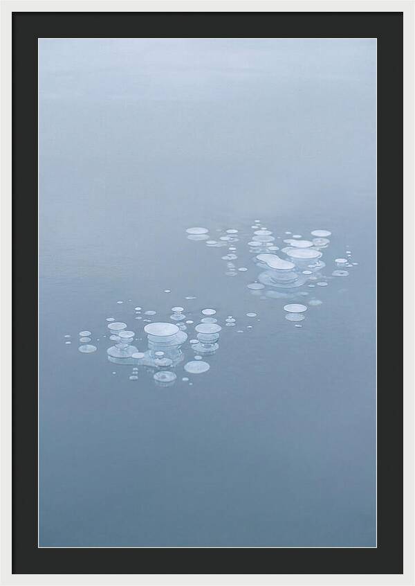 Frozen Bubbles Beneath Ice