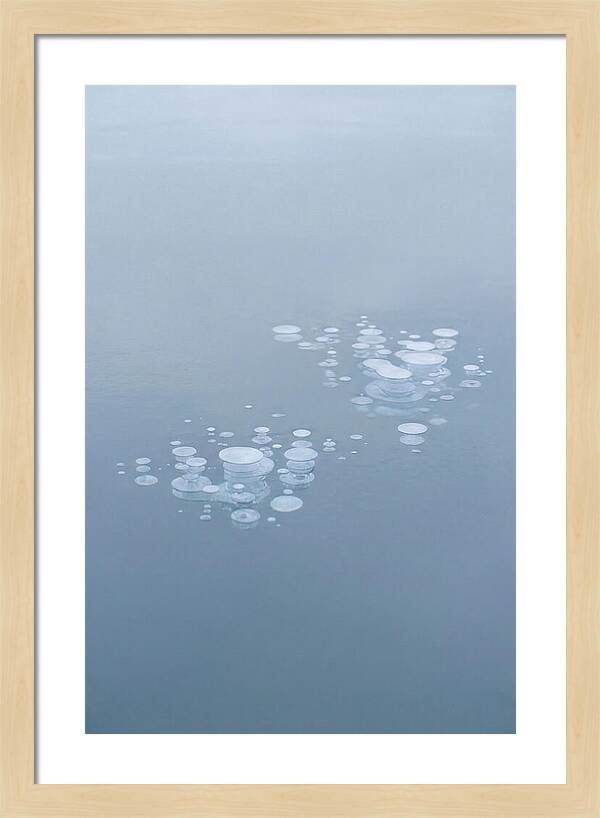 Frozen Bubbles Beneath Ice