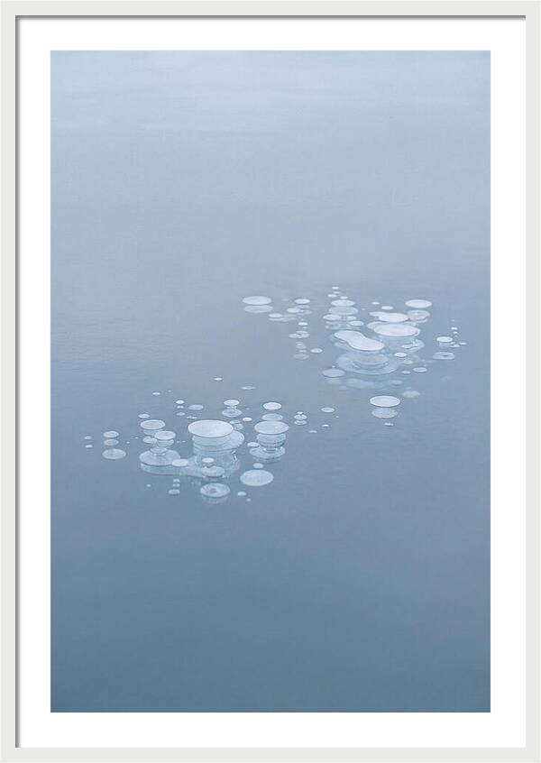 Frozen Bubbles Beneath Ice