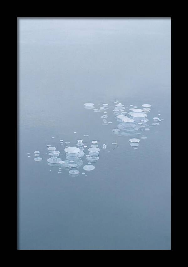 Frozen Bubbles Beneath Ice