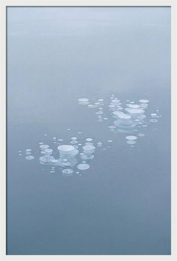 Frozen Bubbles Beneath Ice